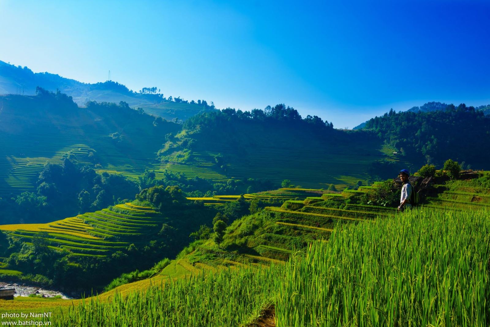 Visa- to -Vietnam- information 2025